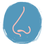 An illustration of a nose symbolising smell