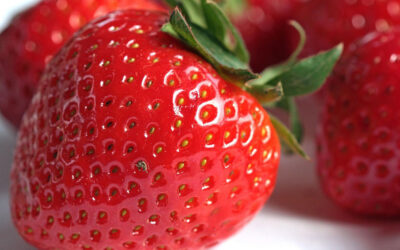 Prayer Month Week 4 – Taste and Smell