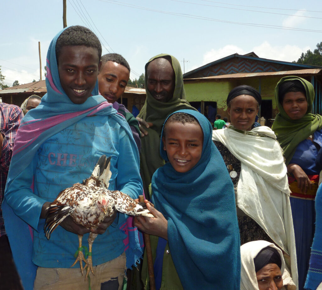 two boys with a chicken in an Ethiopian market